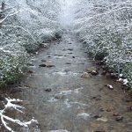 Middle Prong in Snow