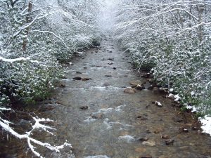 Middle Prong in Snow