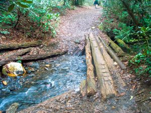 Log Bridge on the Daniel Ridge Trail