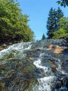 Flat Laurel Creek Cascades