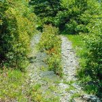 Flat Laurel Creek Stony Surface