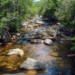 Flat Laurel Creek Crossing