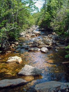 Flat Laurel Creek Crossing