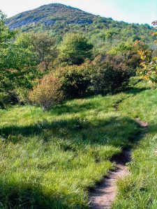 Sam Knob Trail Evening