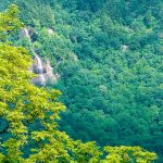 Waterfall on Craggy Mountain