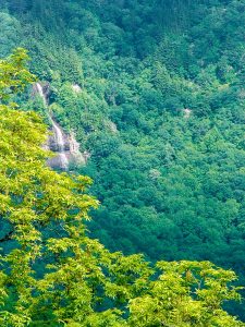 Waterfall on Craggy Mountain