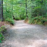 Start of the River Bend Trail