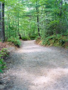 Start of the River Bend Trail