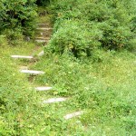 Steps on Mountains to Sea Trail at NC 128