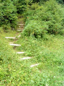 Steps on Mountains to Sea Trail at NC 128