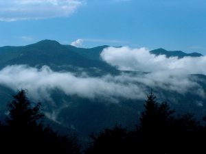 Pisgah National Forest: Black Mountains Area