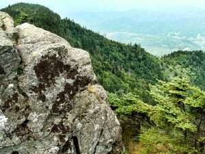 Pisgah National Forest: Roan Mountain