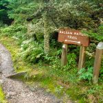 Balsam Nature Trail Start