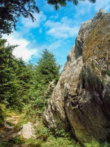 Huge Boulder beside the Mount Mitchell Trail