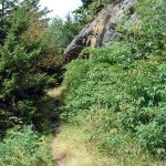 Rock Outcrop on the Mount Mitchell Trail.