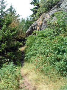 Rock Outcrop on the Mount Mitchell Trail.