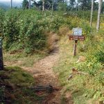 Camp Alice Trail Sign