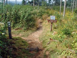 Camp Alice Trail Sign