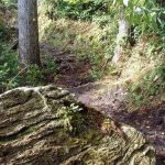 Boulder on the Old Mitchell Trail