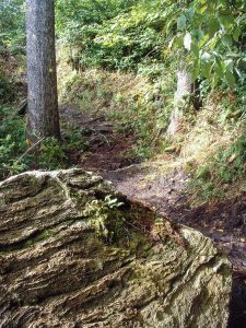 Boulder on the Old Mitchell Trail