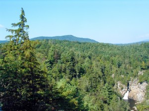 Linville Falls from Erwin's View