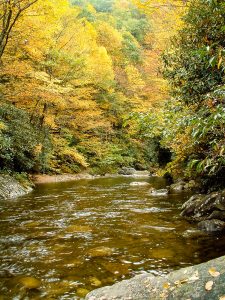 Pisgah National Forest: Shining Rock Area