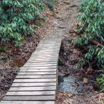 Homestead Trail Bridge