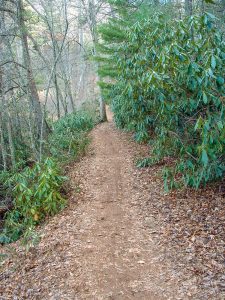 Homestead Trail