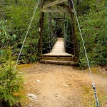 Suspension Bridge over the South Mills River