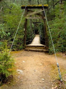 Suspension Bridge over the South Mills River