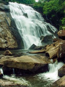 Pisgah National Forest: Horsepasture River Area