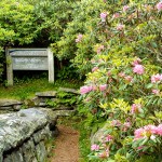 Start of Craggy Gardens Trail