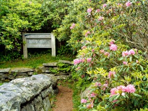 Start of Craggy Gardens Trail