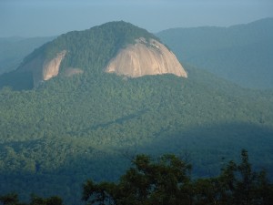 Pisgah National Forest: Davidson River Area