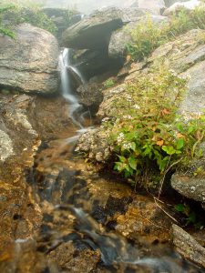 Lower Creek Cascade