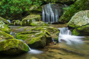 Pisgah National Forest: Catawba Falls