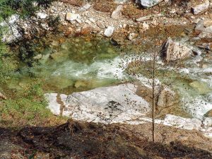 Looking Down on the Davidson River