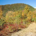 Small Clearing and Main Ridge