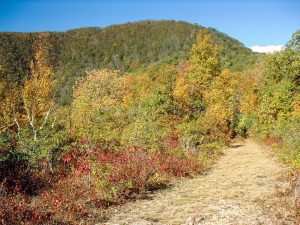 Small Clearing and Main Ridge