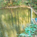 Pond in Pinnacle Park