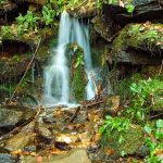 Small Cascade in Pinnacle Park