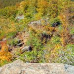 Fall Color On Pinnacle