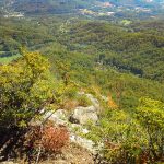 The valley from Pinnacle