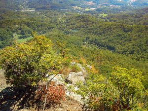 The valley from Pinnacle