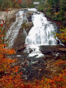 DuPont State Forest