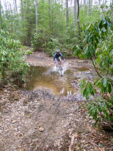 Crossing Fletcher Creek