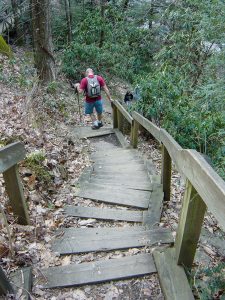 Staircase at High Shoals Falls