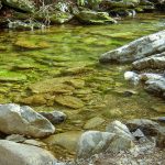 The Crystal-Clear Waters of the Jacob Fork River