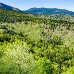 Mount Mitchell from Ridge Junction Overlook