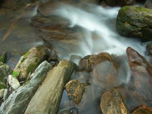 Corner Rock Creek